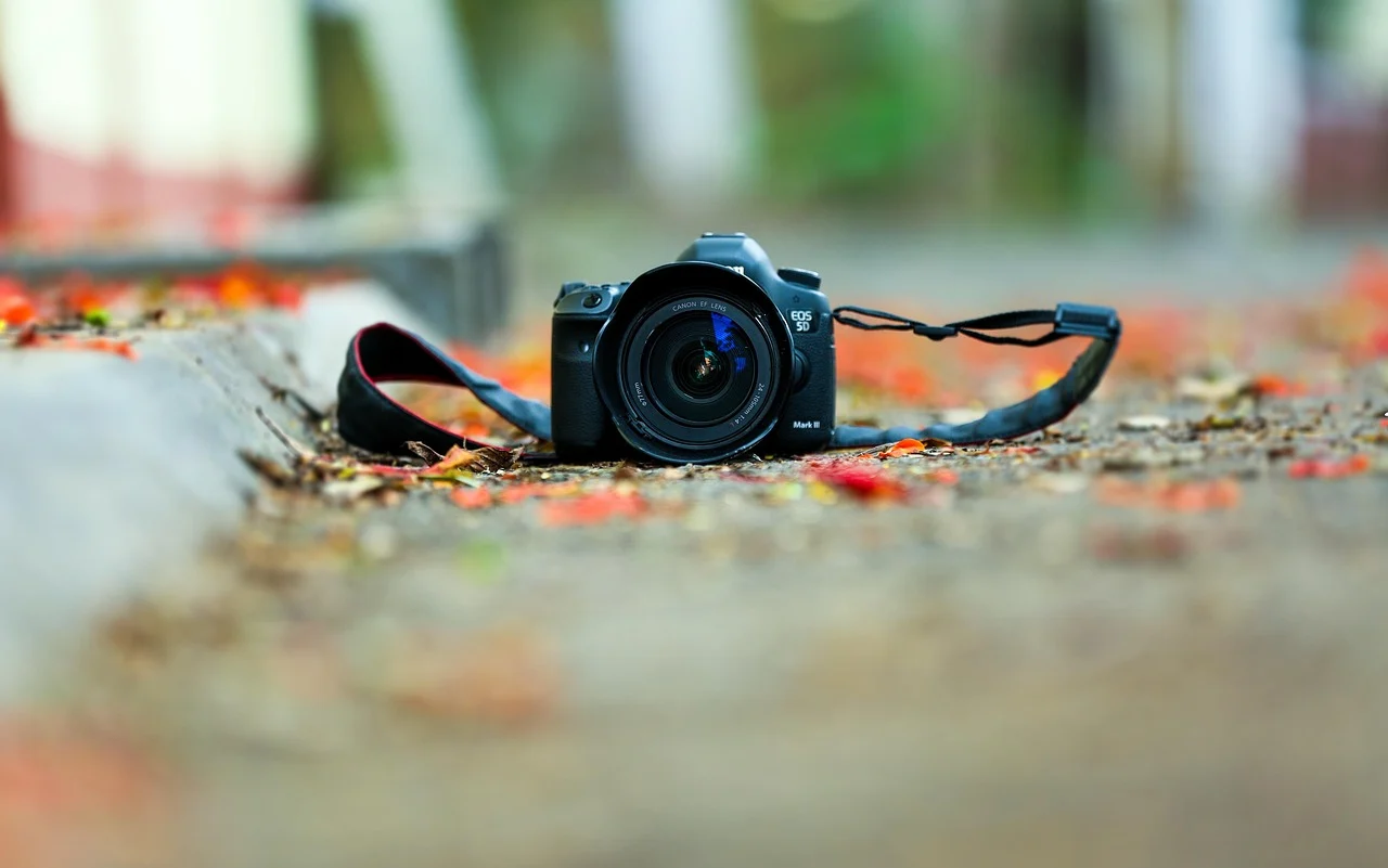 prunisor lax in cat timp isi face efectul