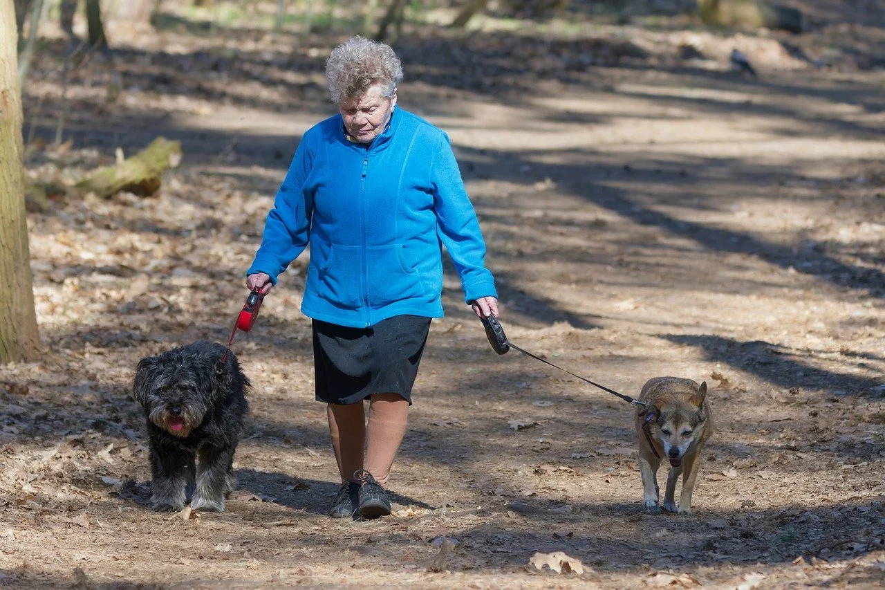 ce inseamna pet friendly
