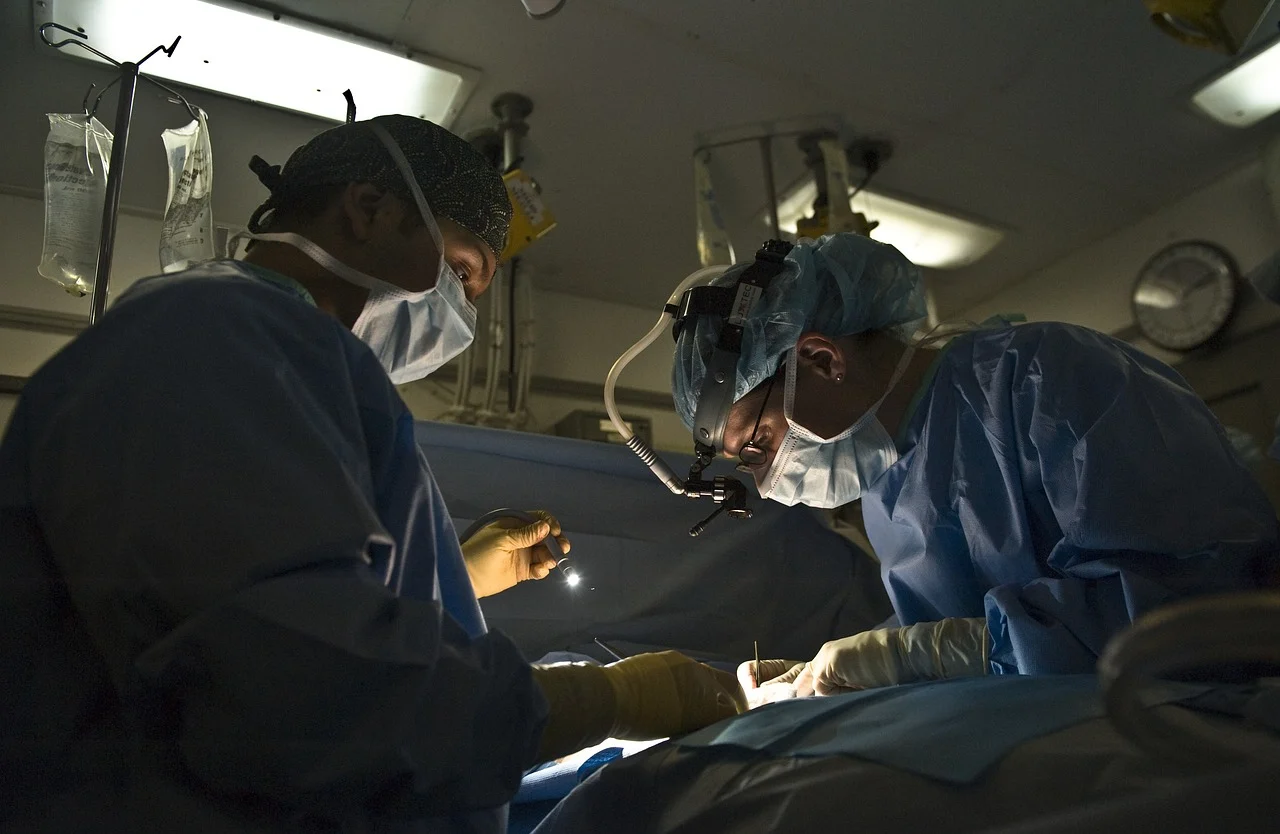 ce inseamna sterilizarea la pisici